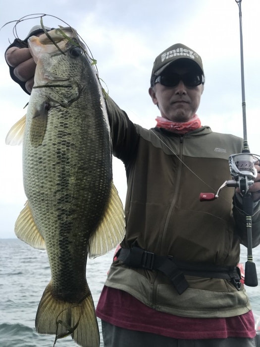 truth ブログ写真 2020/07/20