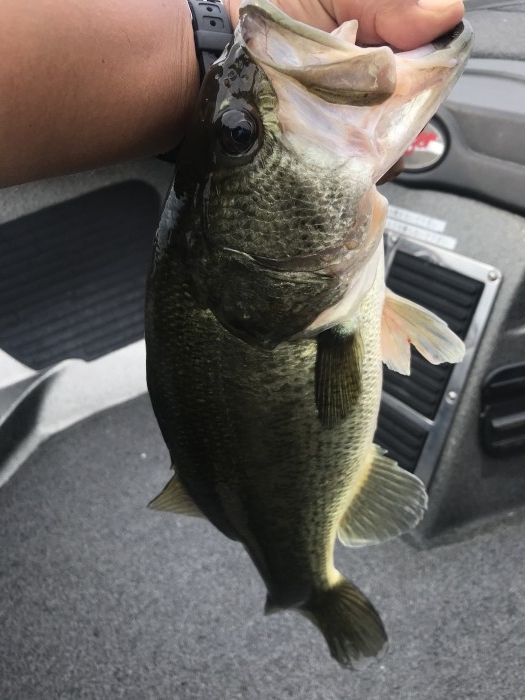 truth ブログ写真 2020/07/20