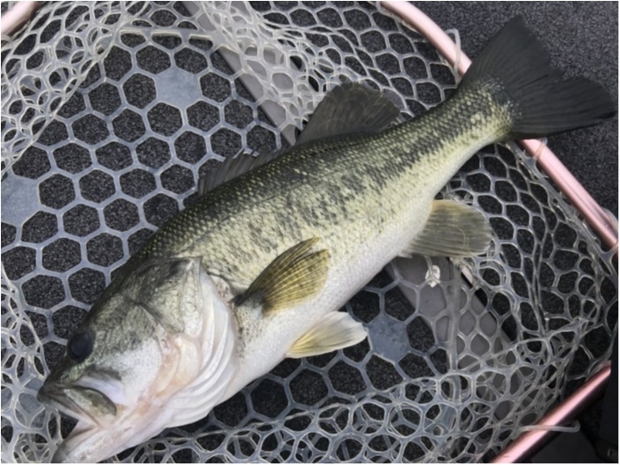 truth ブログ写真 2020/07/20