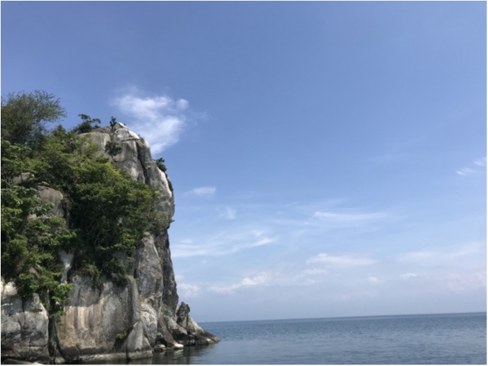 truth  ブログ写真 2020/07/21