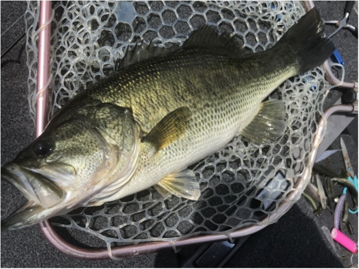 truth ブログ写真 2020/07/22