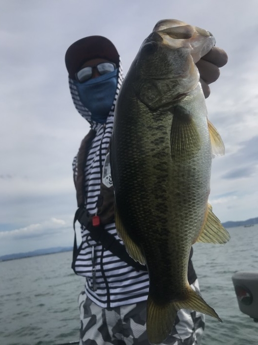 truth ブログ写真 2020/07/22