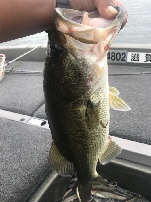 truth ブログ写真 2020/07/23