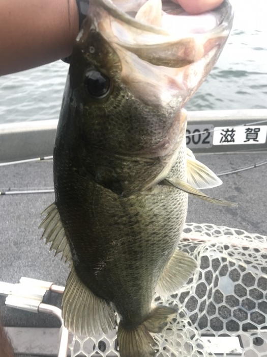 truth ブログ写真 2020/07/23