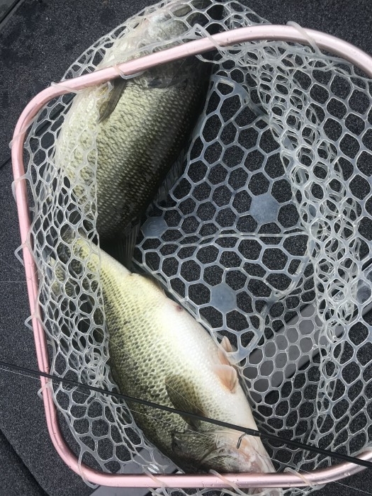 truth ブログ写真 2020/07/23