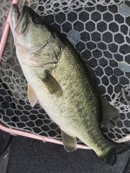 truth ブログ写真 2020/07/23