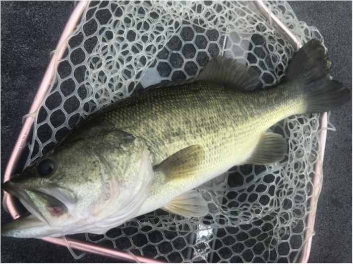 truth ブログ写真 2020/07/24