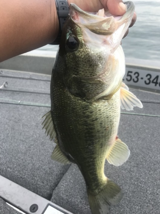 truth ブログ写真 2020/07/24