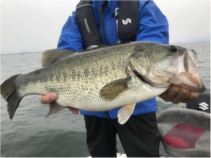 truth ブログ写真 2020/07/24