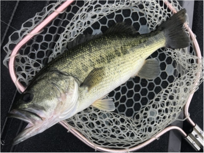 truth ブログ写真 2020/07/25