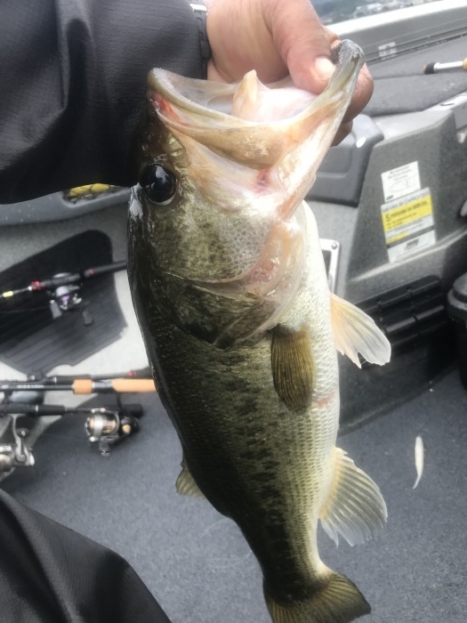 truth ブログ写真 2020/07/25