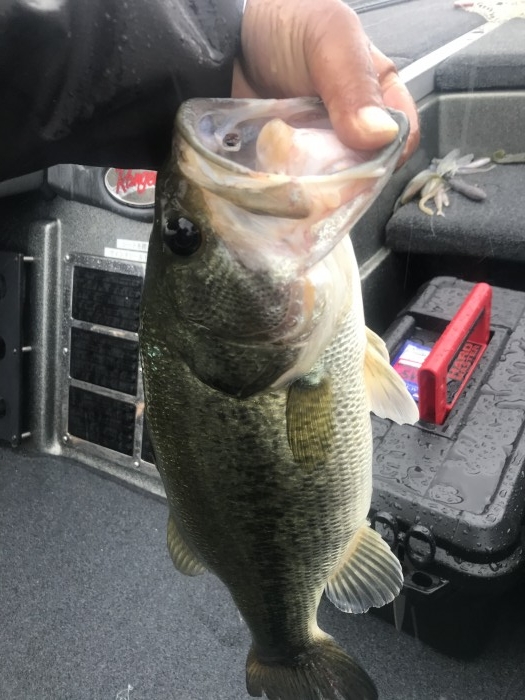 truth ブログ写真 2020/07/25