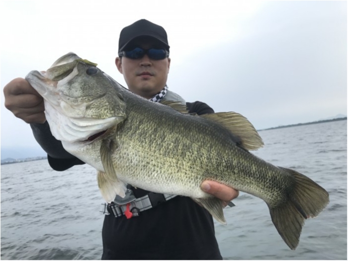 truth  ブログ写真 2020/08/07