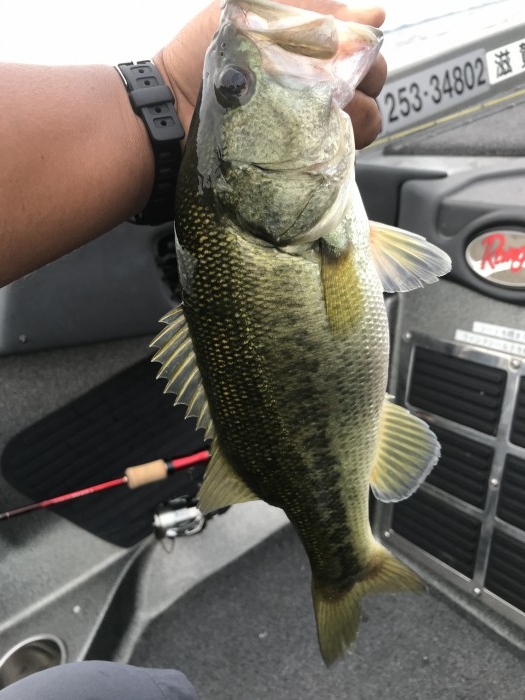 truth  ブログ写真 2020/08/07