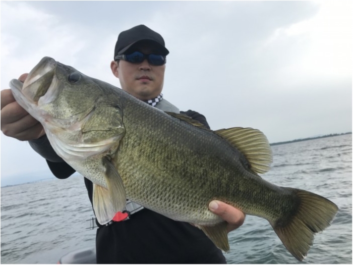 truth  ブログ写真 2020/08/07