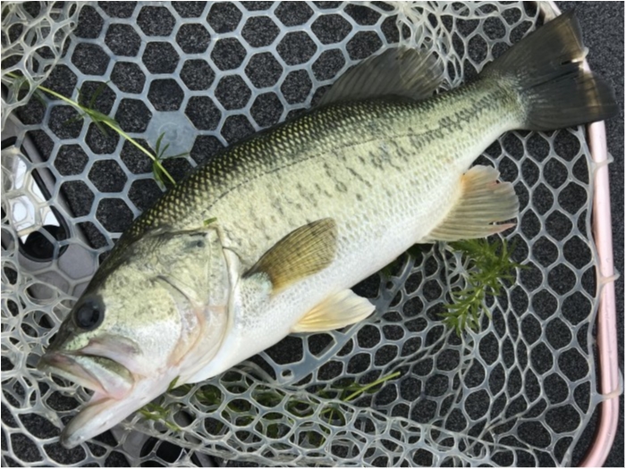 truth  ブログ写真 2020/08/07