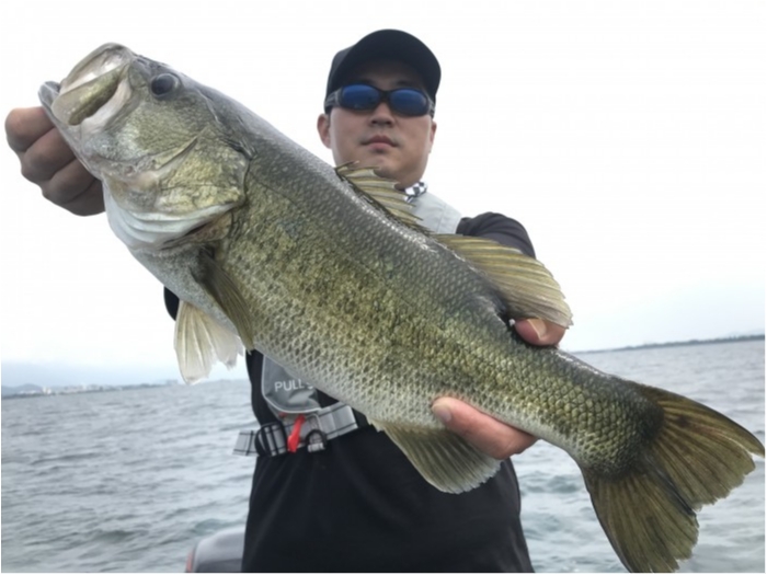 truth  ブログ写真 2020/08/07