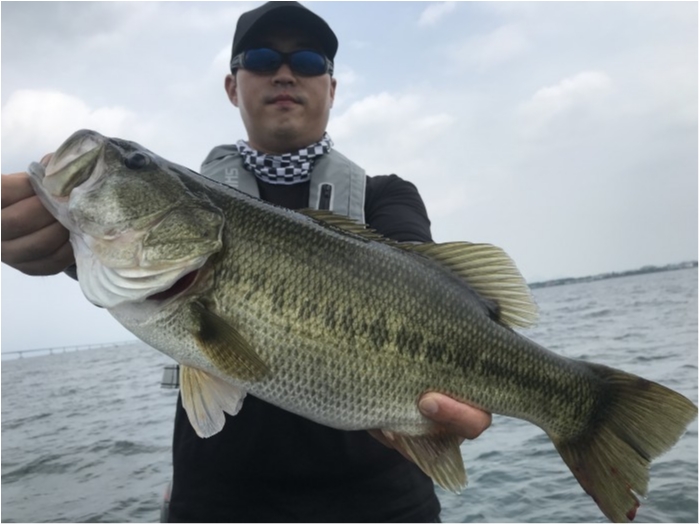 truth  ブログ写真 2020/08/07