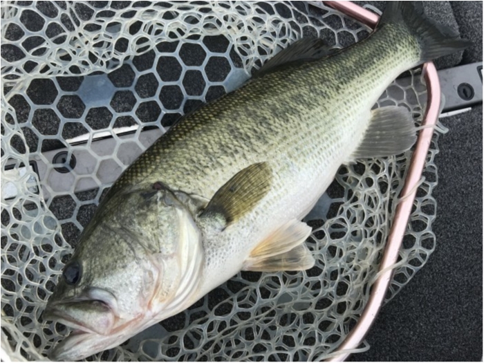 truth  ブログ写真 2020/08/07