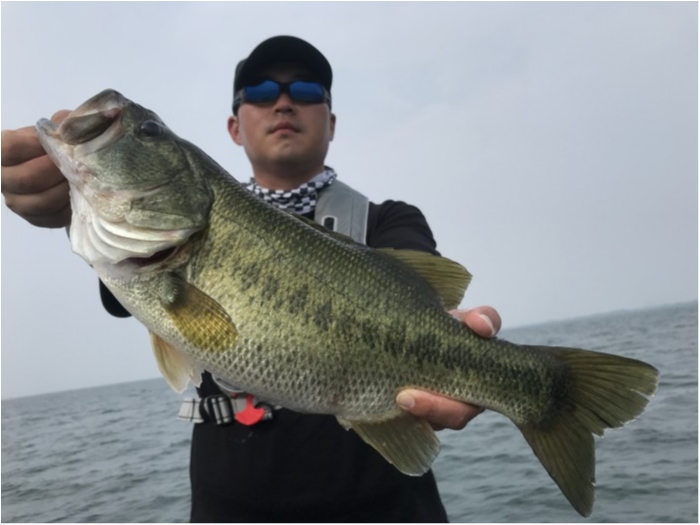 truth  ブログ写真 2020/08/07