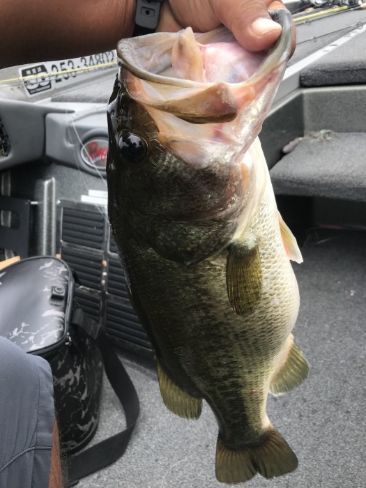 truth  ブログ写真 2020/08/07