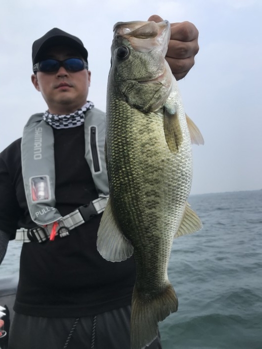 truth  ブログ写真 2020/08/07