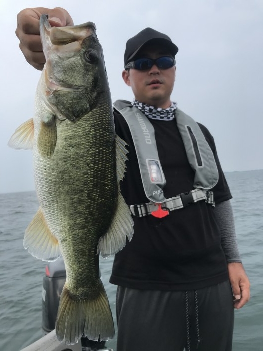 truth  ブログ写真 2020/08/07