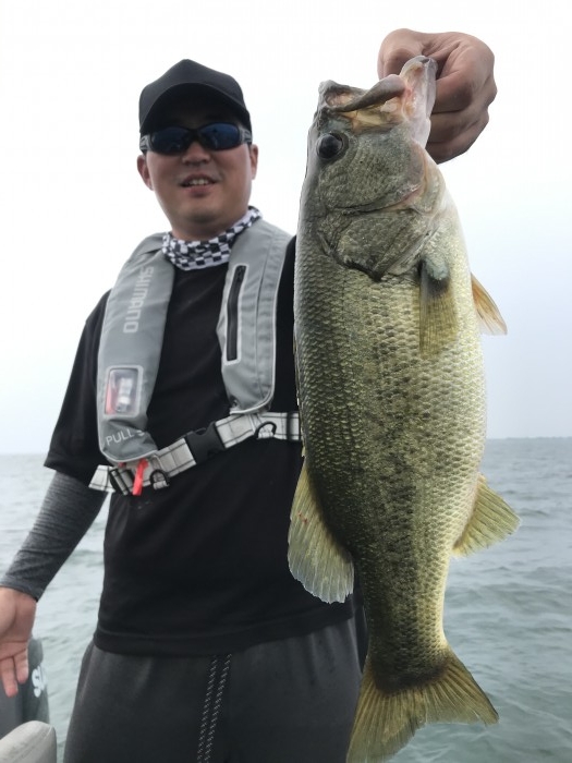 truth  ブログ写真 2020/08/07