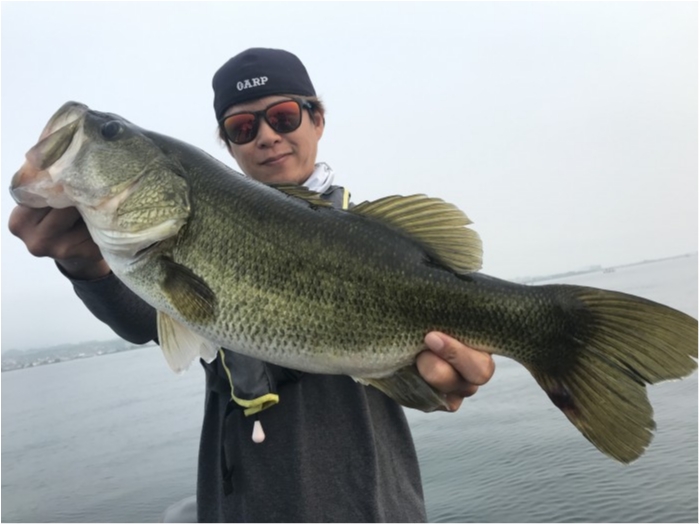 truth  ブログ写真 2020/08/08