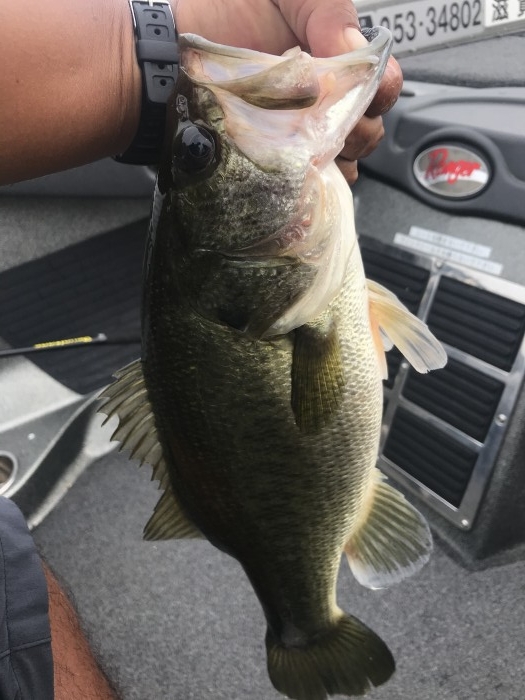 truth  ブログ写真 2020/08/08