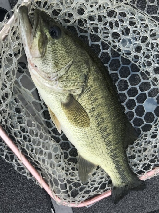 truth  ブログ写真 2020/08/08