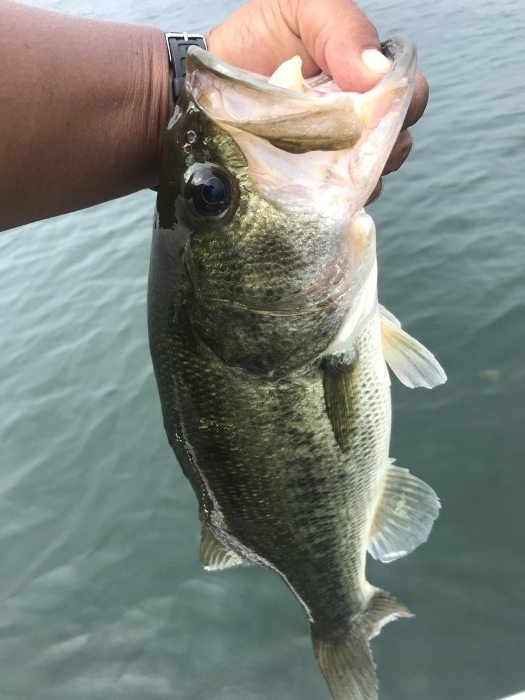 truth  ブログ写真 2020/08/08