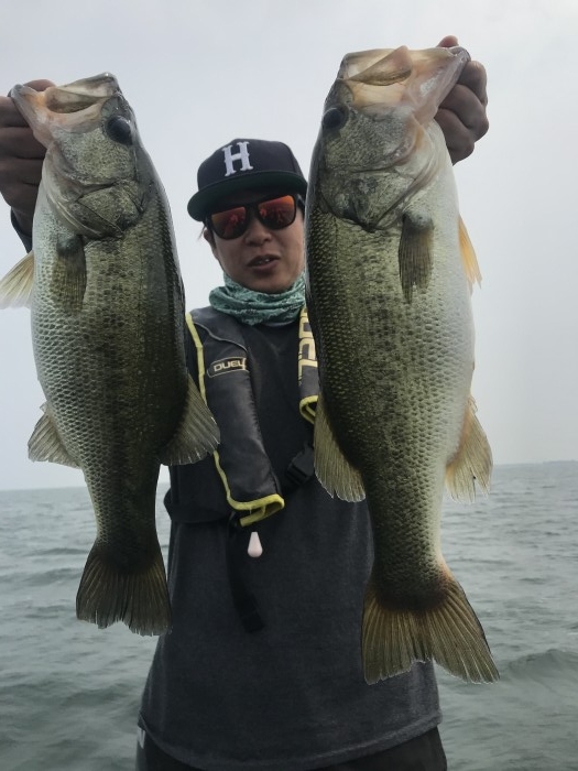 truth  ブログ写真 2020/08/08