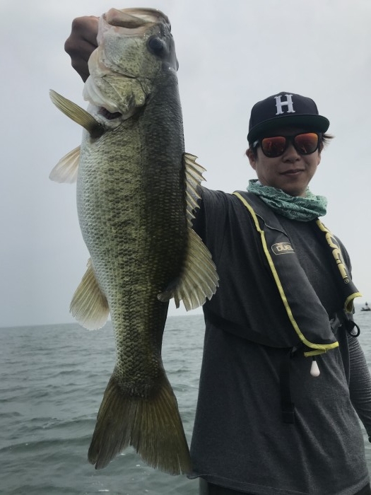 truth  ブログ写真 2020/08/08