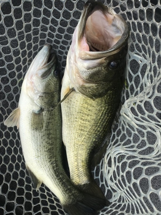 truth  ブログ写真 2020/08/08