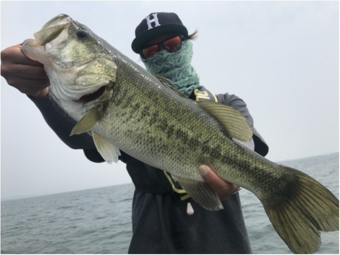 truth  ブログ写真 2020/08/08