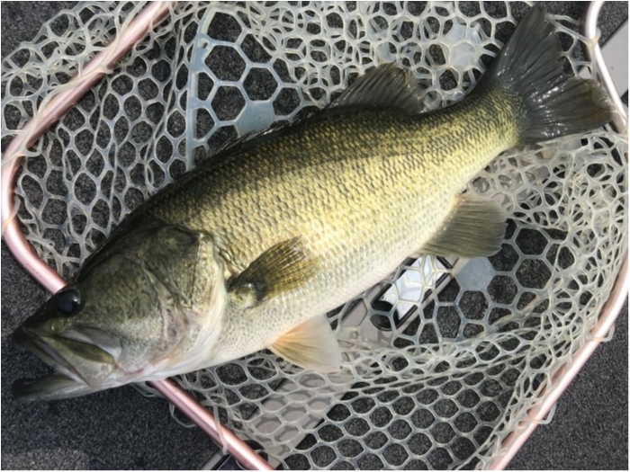 truth  ブログ写真 2020/08/08