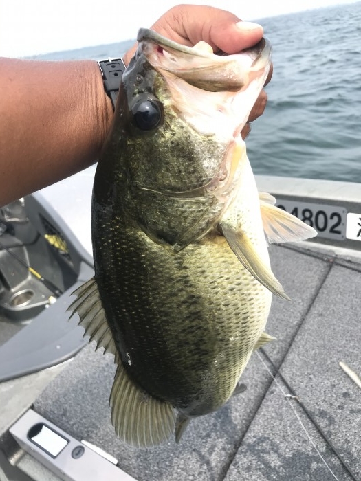 truth  ブログ写真 2020/08/08