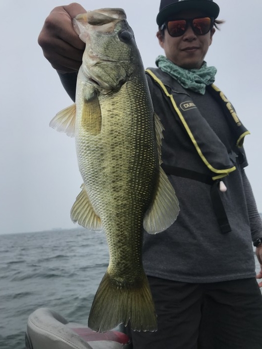 truth  ブログ写真 2020/08/08