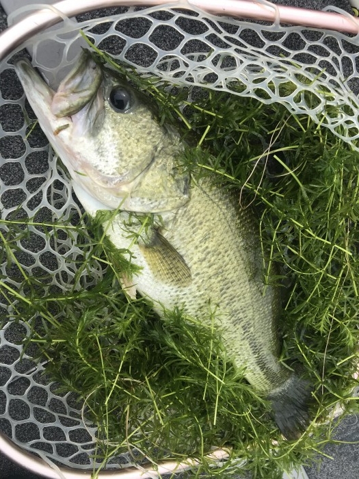 truth  ブログ写真 2020/08/08