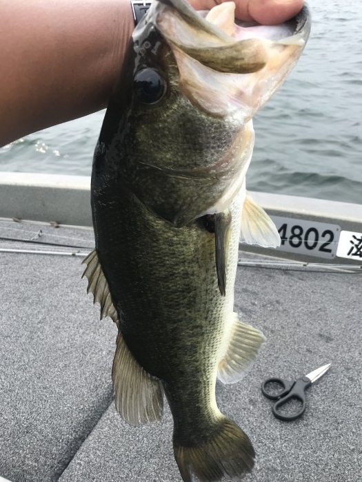 truth  ブログ写真 2020/08/08