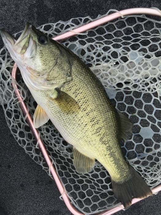 truth  ブログ写真 2020/08/08