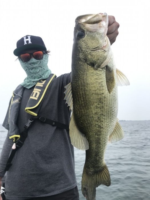 truth  ブログ写真 2020/08/08