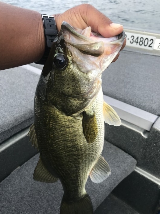 truth  ブログ写真 2020/08/09