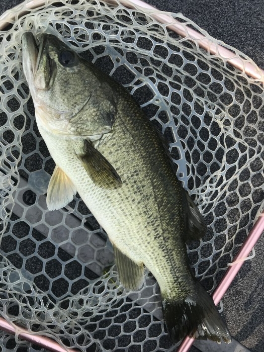 truth  ブログ写真 2020/08/09