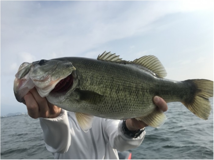 truth  ブログ写真 2020/08/09