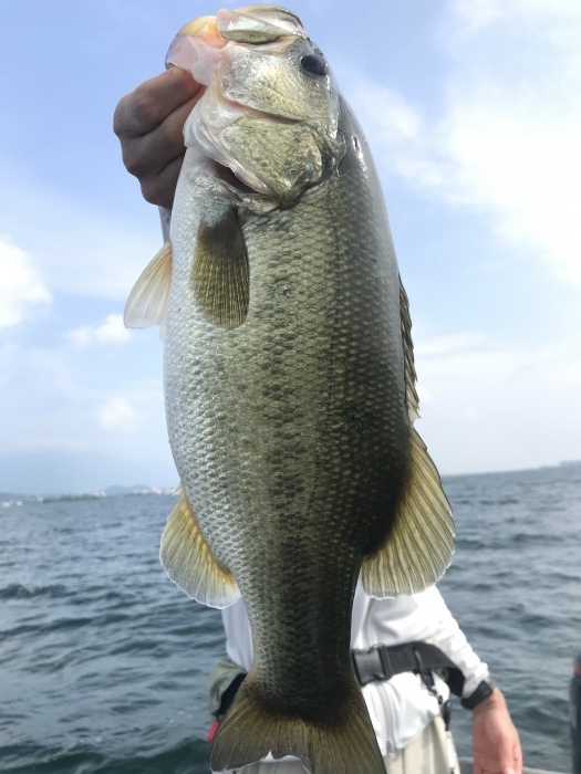 truth  ブログ写真 2020/08/09