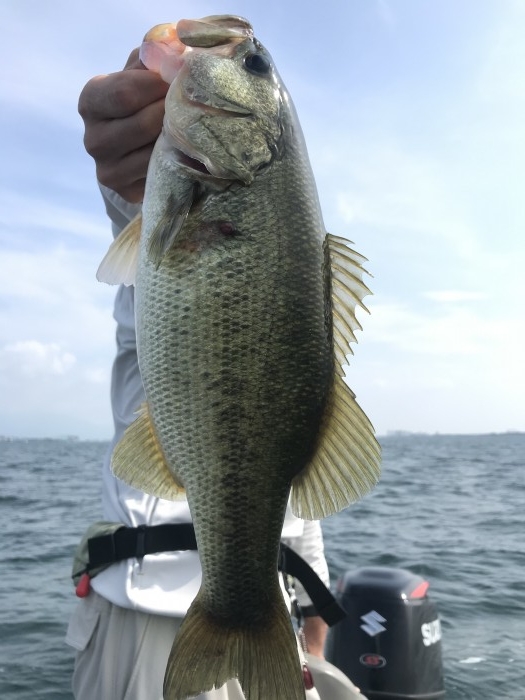 truth  ブログ写真 2020/08/09