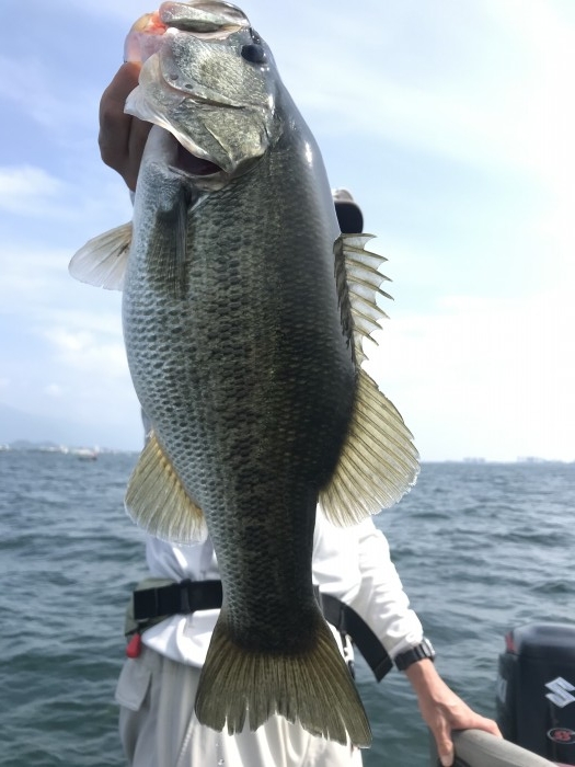 truth  ブログ写真 2020/08/09