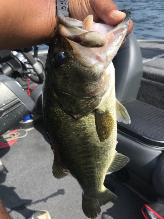 truth  ブログ写真 2020/08/09